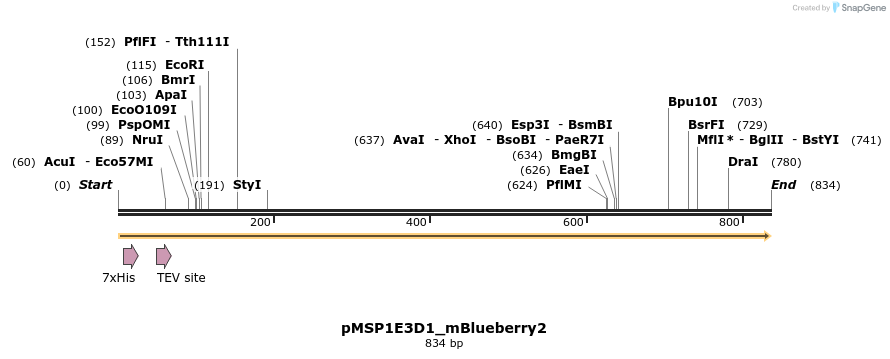 491081_map