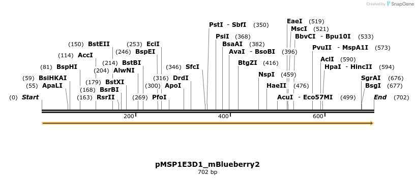 491082_map