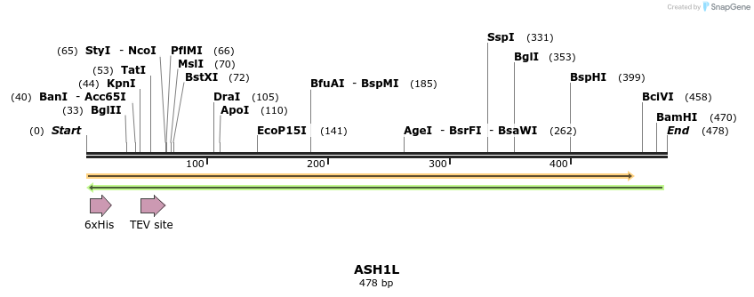 49109_map