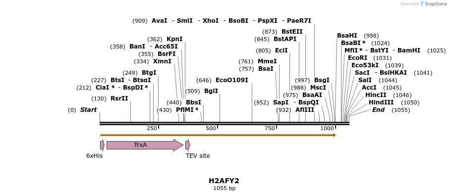 49110_map