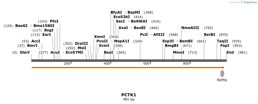 49111_map