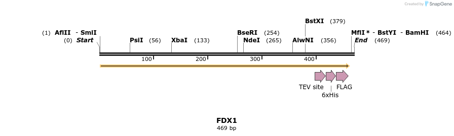 49113_map