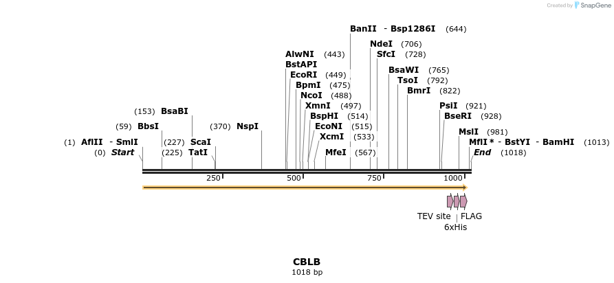 49114_map