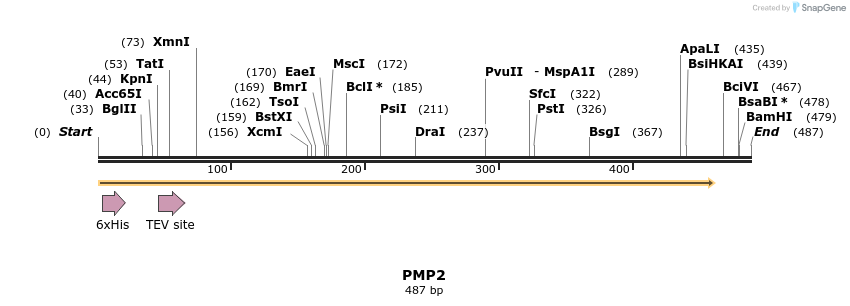 49115_map