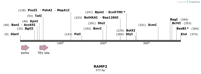 49116_map