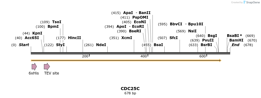 49117_map