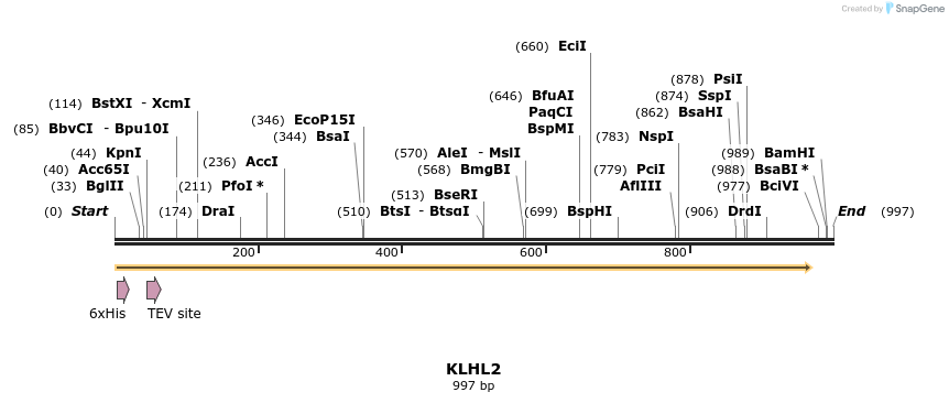 49118_map