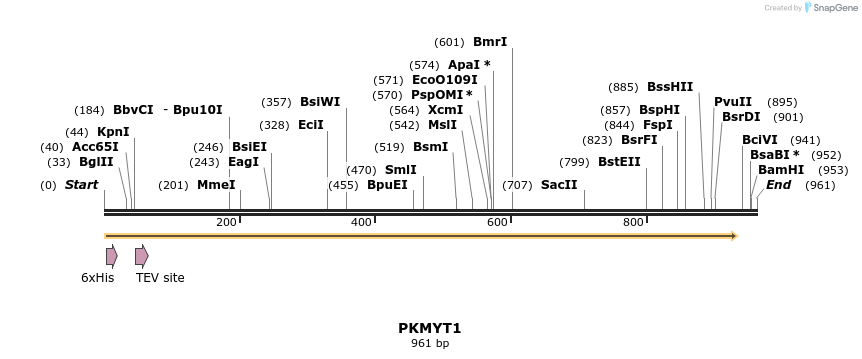 49119_map