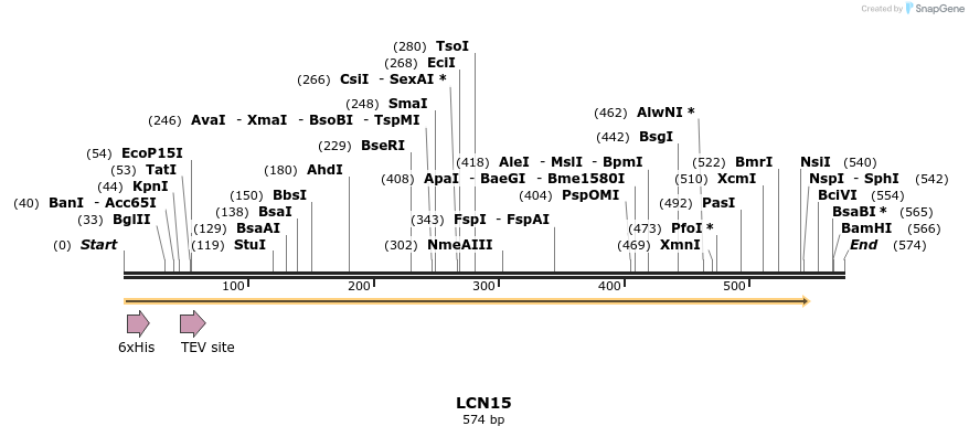 49120_map