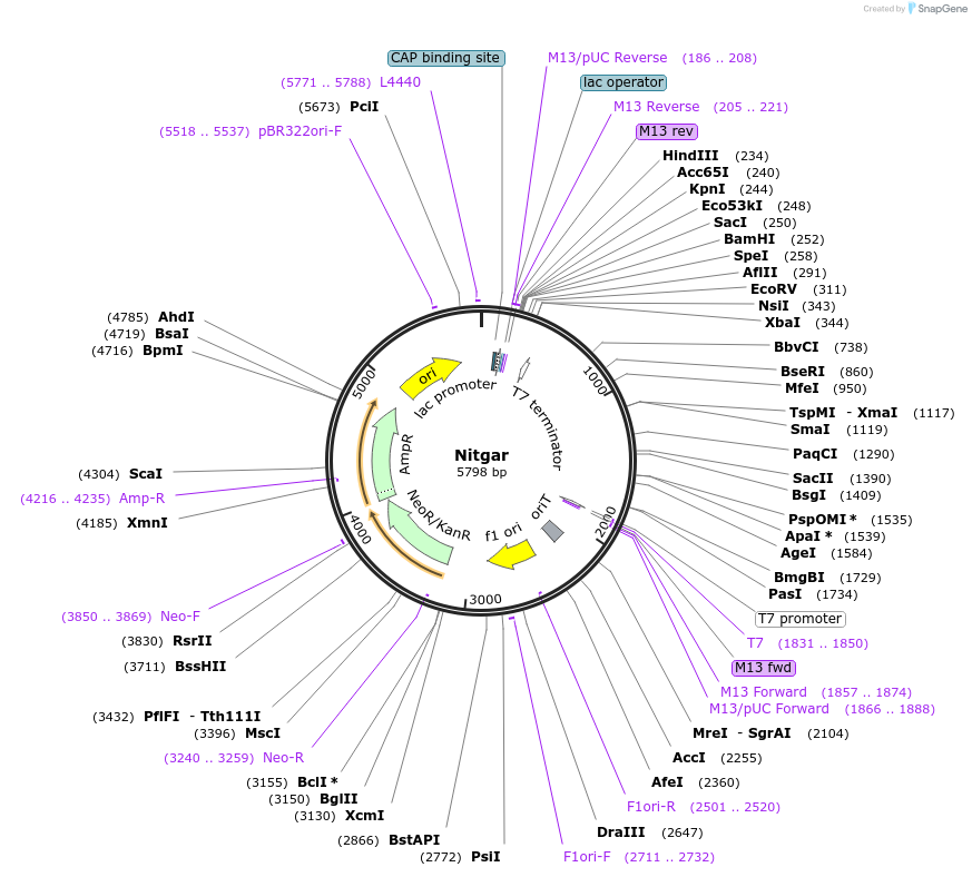 491201_map