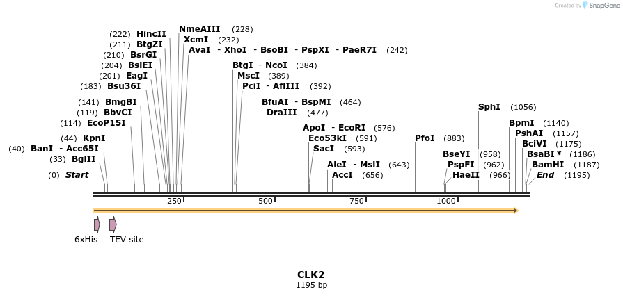 49121_map