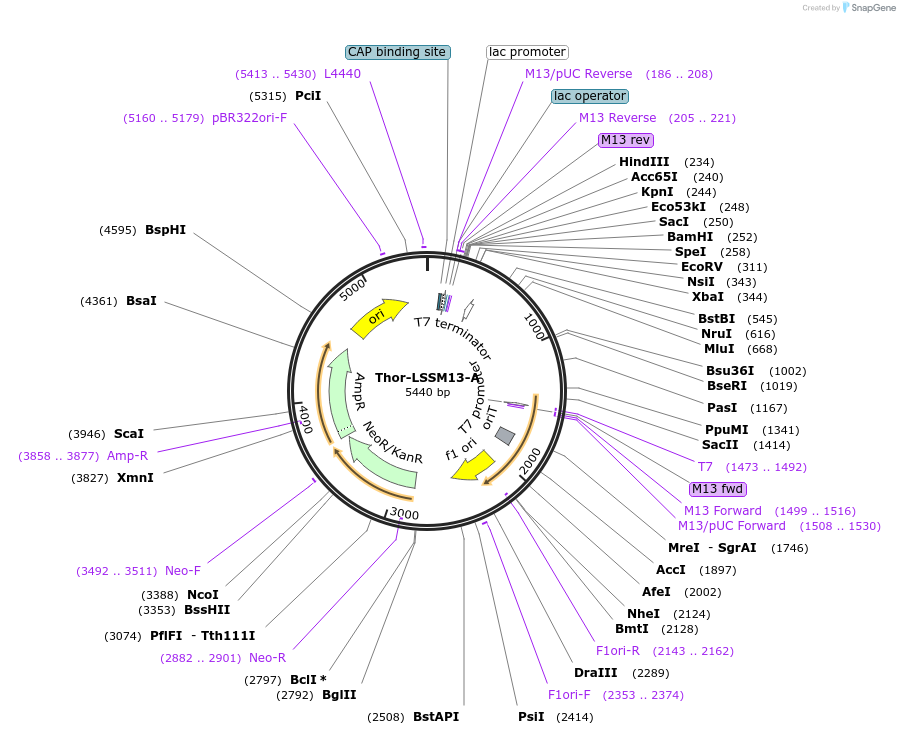 491213_map