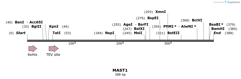 49123_map