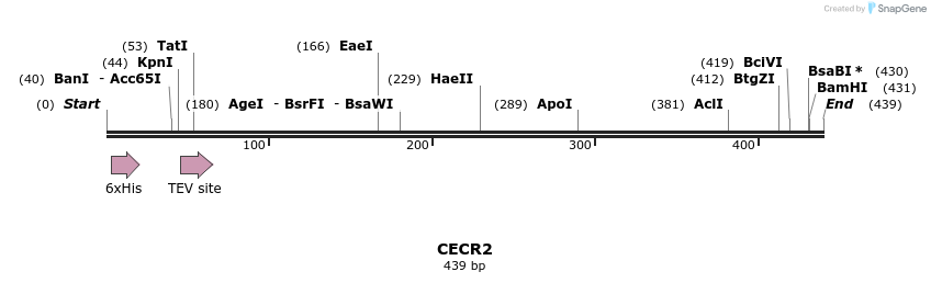 49124_map