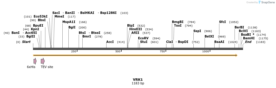 49125_map