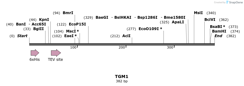 49126_map