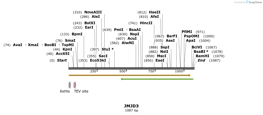 49127_map