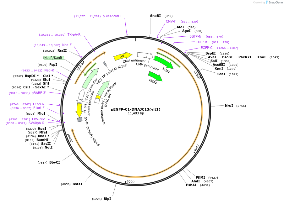 491270_map