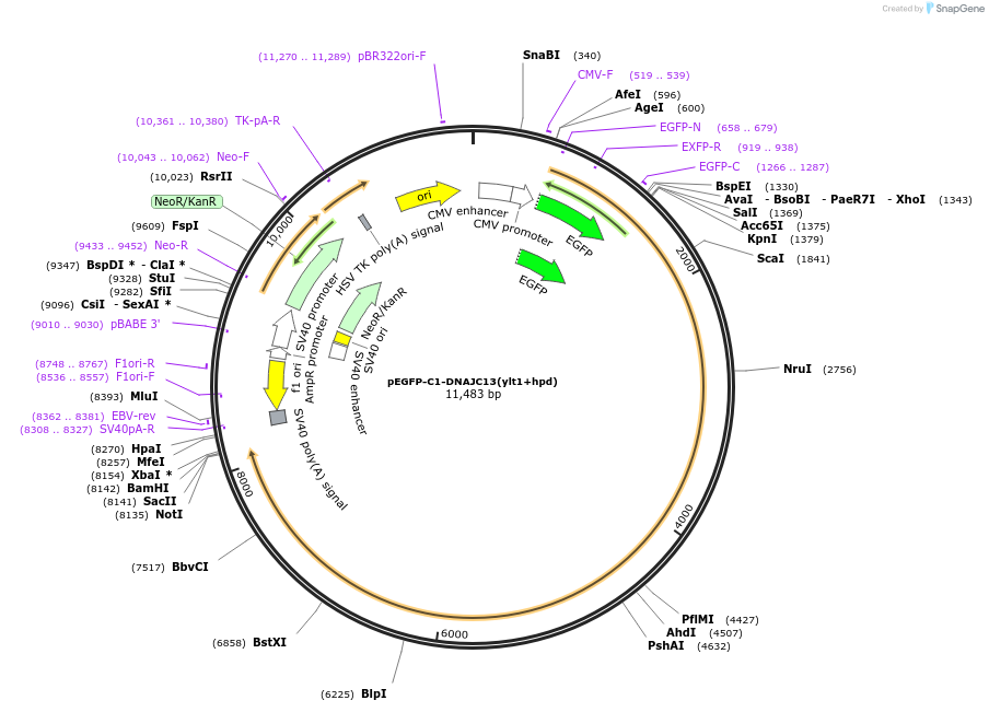 491272_map