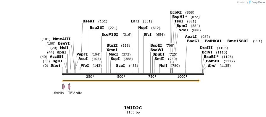 49128_map