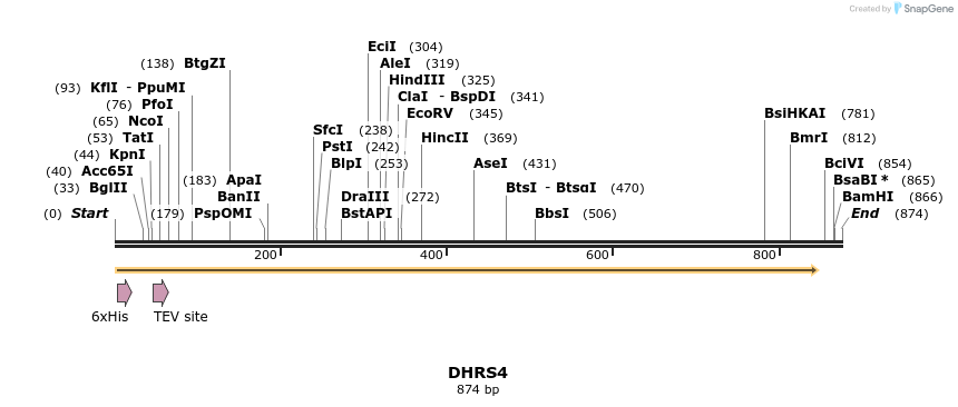 49129_map