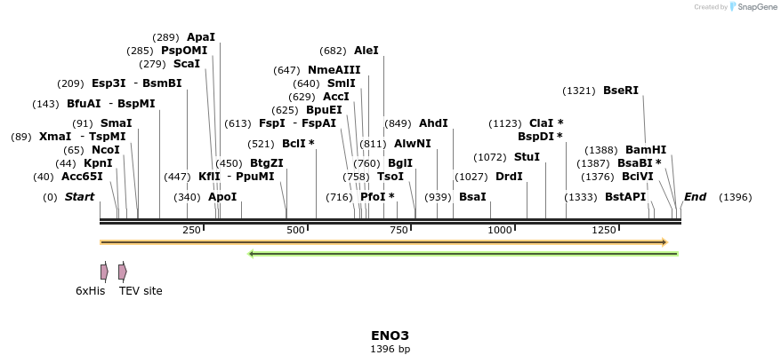 49130_map
