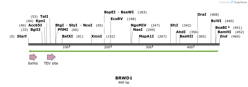 49131_map