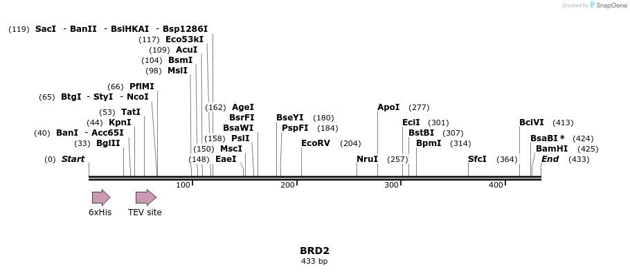 49132_map