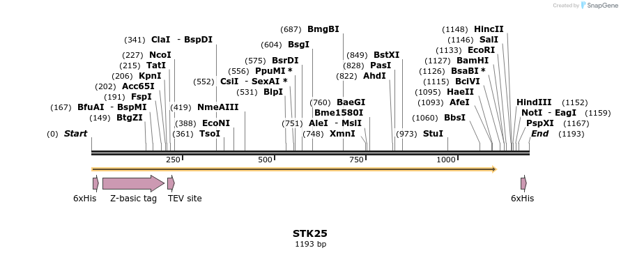 49133_map