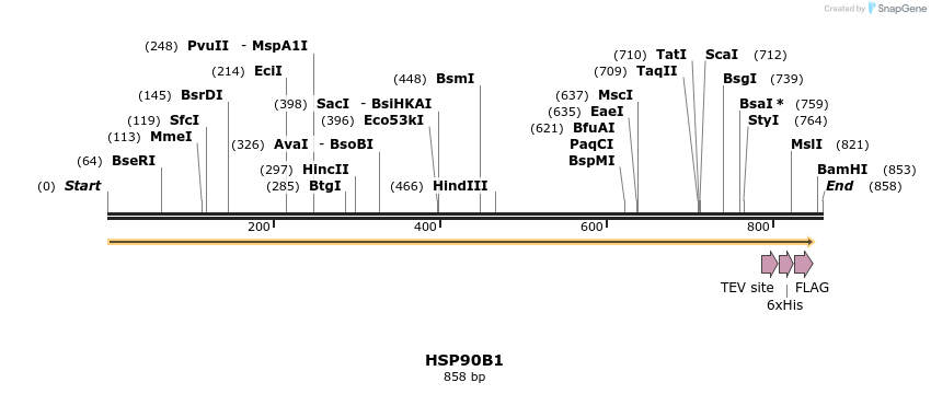 49134_map