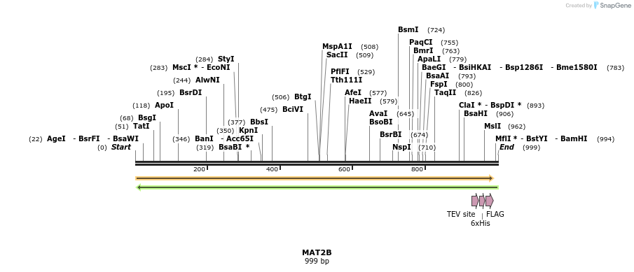 49138_map