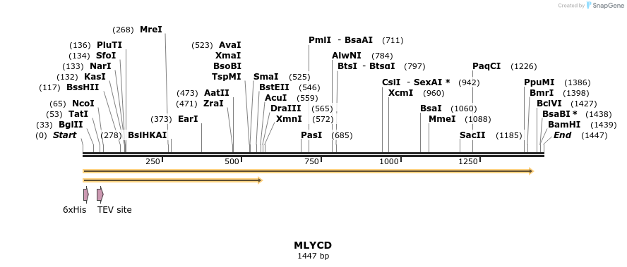 49139_map