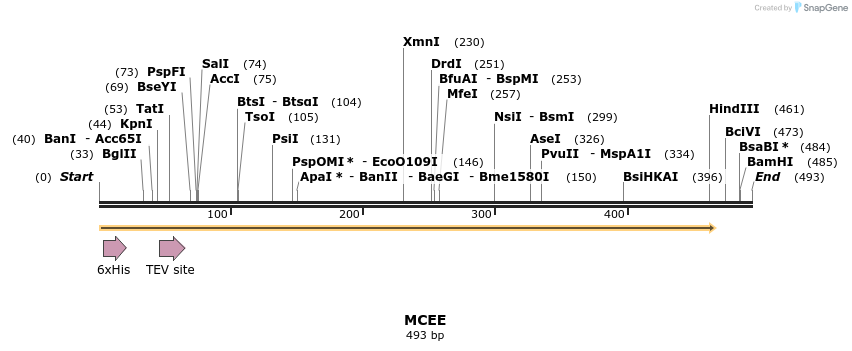 49140_map
