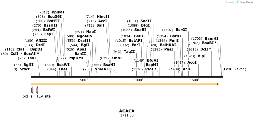 49141_map