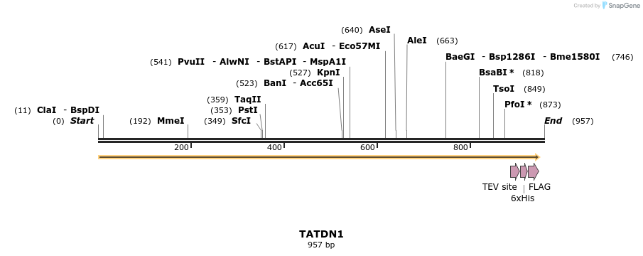 49143_map