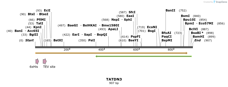 49144_map