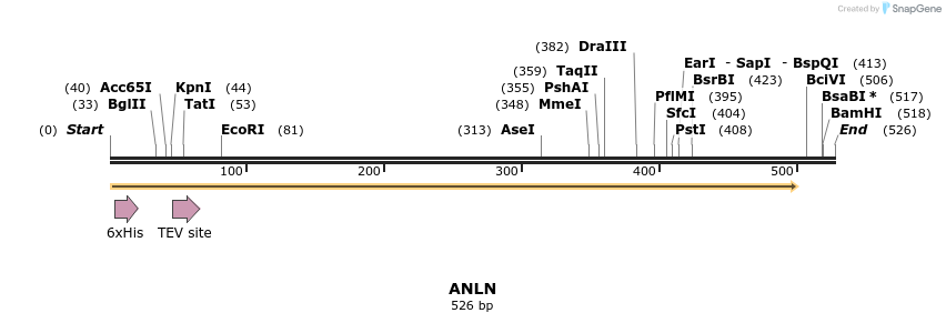 49146_map