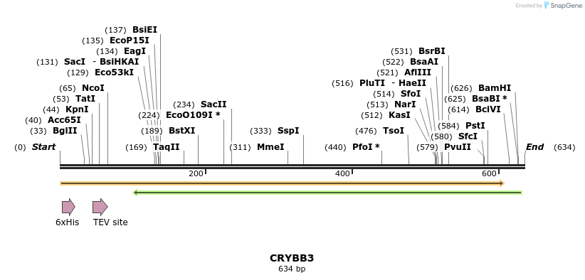 49147_map