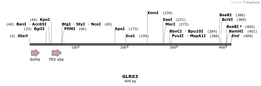 49148_map