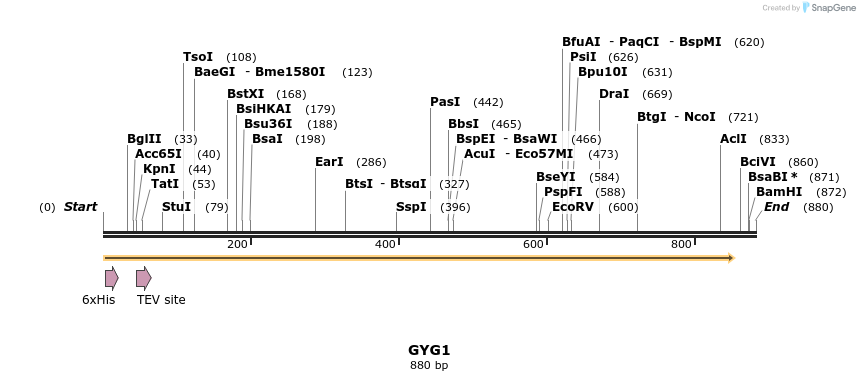 49149_map