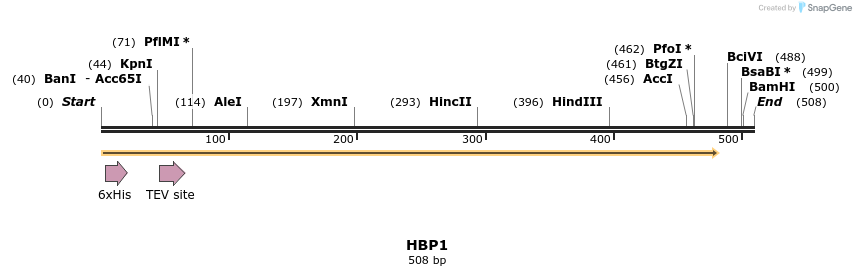 49150_map