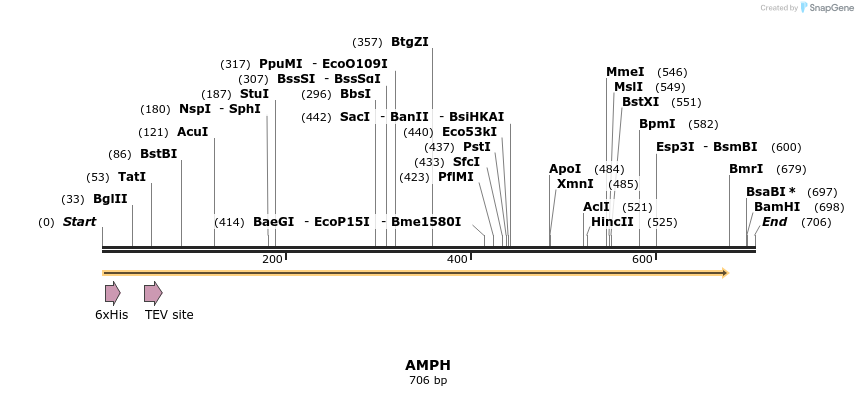 49151_map