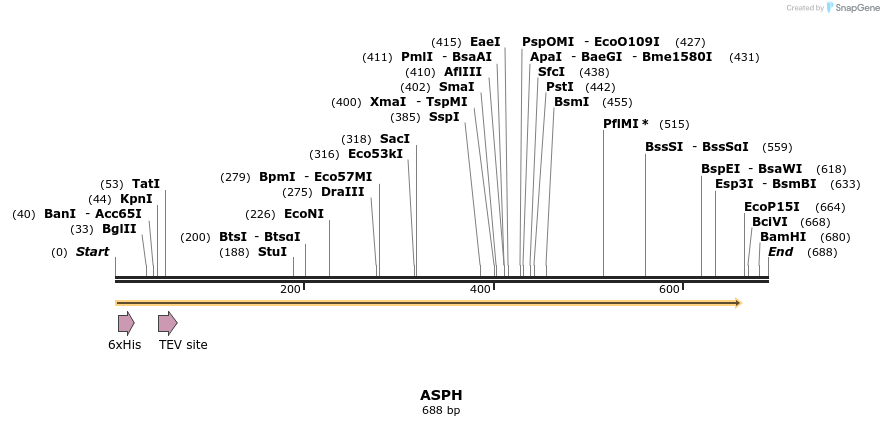 49152_map