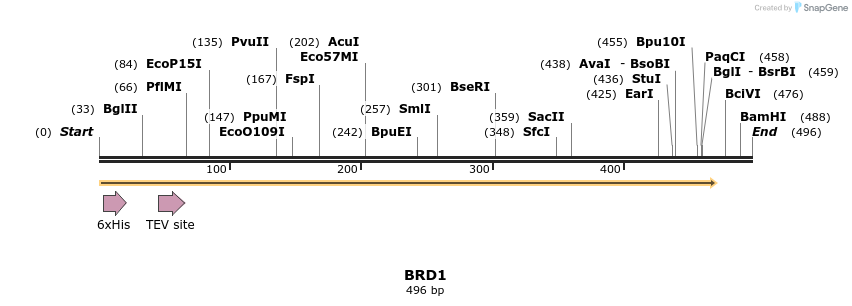49153_map