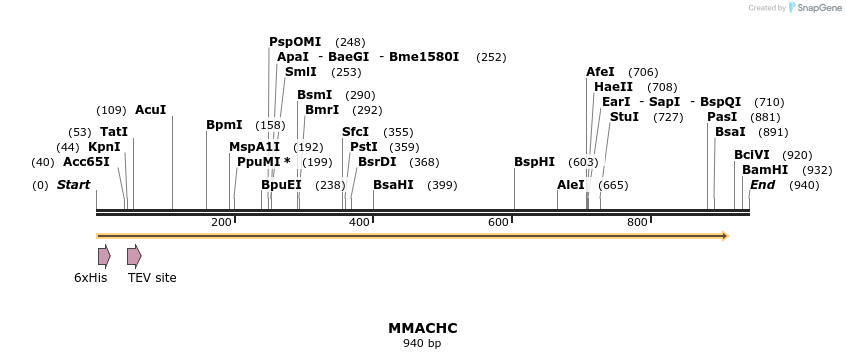 49154_map