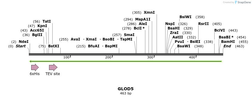 49156_map