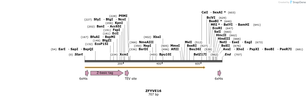 49157_map