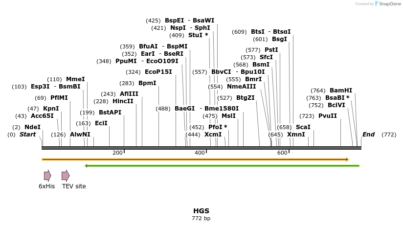 49158_map