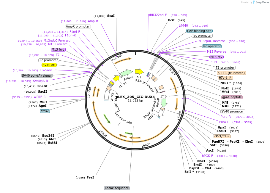 491582_map