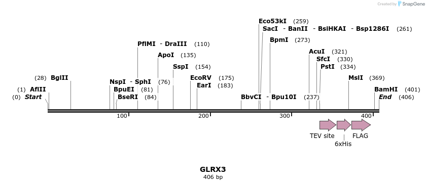 49159_map